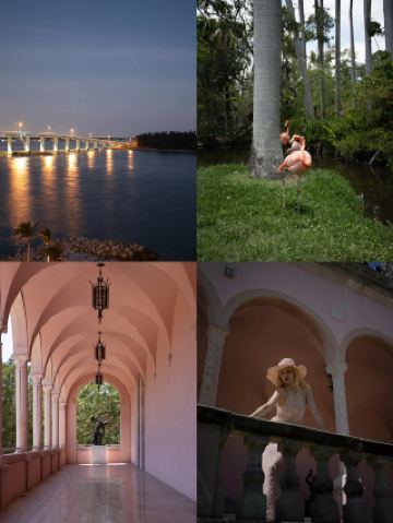 Sarasota Jungle Garden