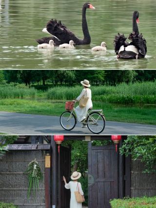 The Tang-style courtyard in Xishanyang Wetland blends seamlessly with the natural landscape and the charm of silk.