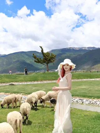 No.547Tour de SHANGRI-LAツール・ド・シャングリラ Shangri-La Travel Guide 2026: Top Attractions, Things to do
