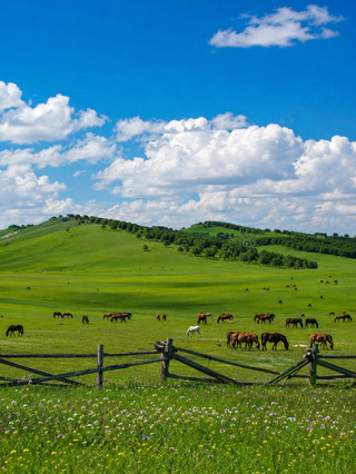 Complete Hebei itinerary guide | Explore the Great Wall, grasslands, and coast all in one trip!