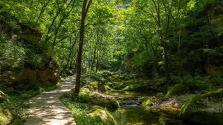 遼西の深山に恒久の涼が隠され、一つの街は清らかな夏で炎陽を避ける、朝陽のマイナー避暑遊び攻略