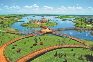 Fujin | the romance of wetlands and rice fields 