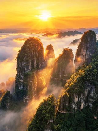 Fei Xiaotong certified "World Yao Capital"!