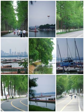 Wuhan East Lake Greenway | A real cycling experience around the lake