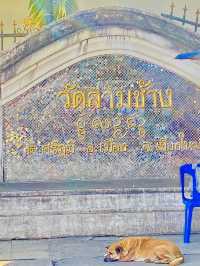 ไหว้พระขอพร | วัดล่ามช้าง | เชียงใหม่