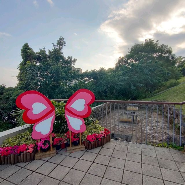 花開正好-北投三層崎公園