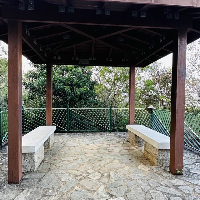 【馬灣行山】登上大嶺頭。飽覽青馬大橋。欣賞日落｜初級行山輕鬆路線兩小時內行完