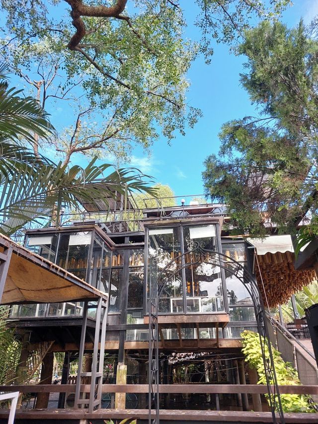 Bangkok Tree House
