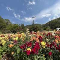 ดอยอ่างขาง (Doi Angkhang)