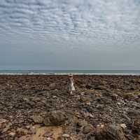 Rocky Point Resort รีสอร์ทสุดชิล ณ ทับสะแก