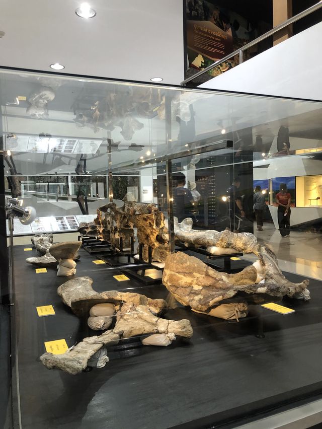พิพิธภัณฑ์ไดโนเสาร์ @ภูเวียง ขอนแก่น🦕