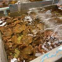 รีวิว - ตลาดปลาไทเป Taipei Fish Market 🐠