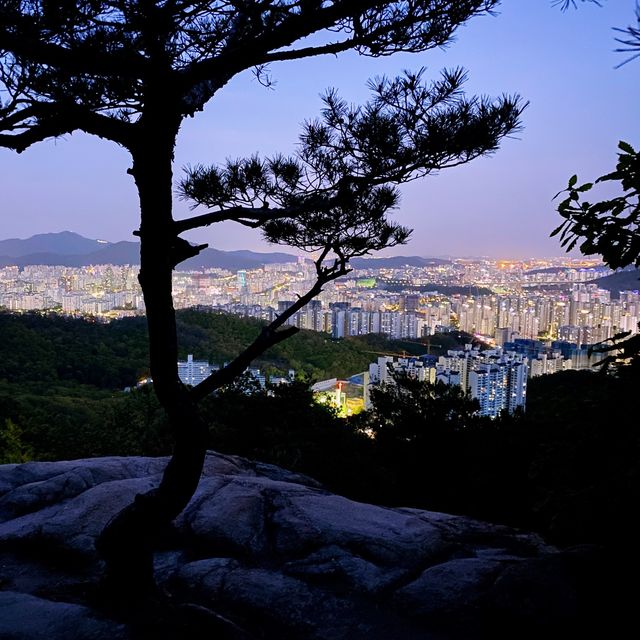차로 편하게 즐기는 야경 맛집