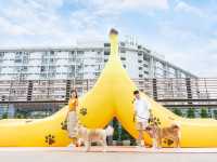 大埔2萬呎寵物共享花園登場