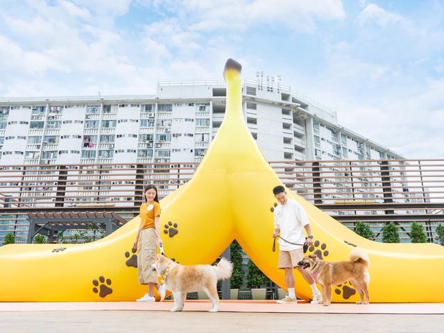 大埔2萬呎寵物共享花園登場 大埔2萬呎寵物共享花園登場