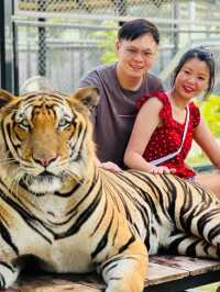 Tiger World, Bangkok, Thailand