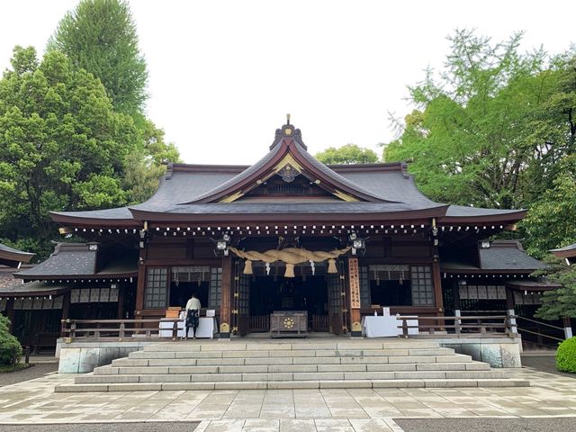 熊本　熊本観光　熊本の癒しスポット水前寺成趣園に行ってきた！