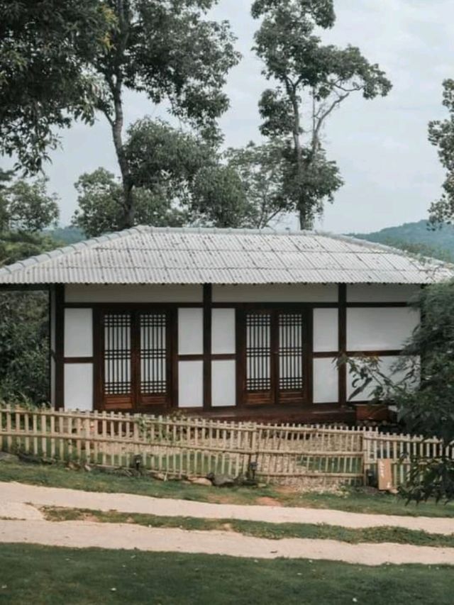 ยกเกาหลีมาไว้ที่เชียงใหม่ 