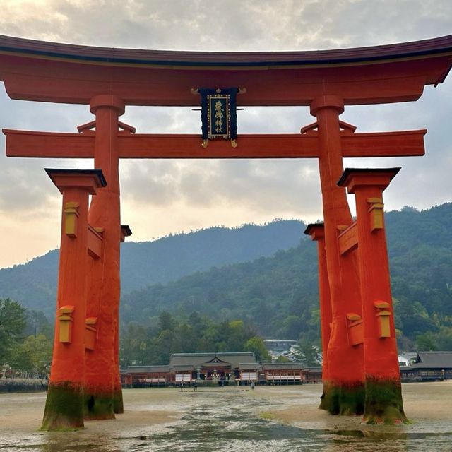 📍宮島/広島県