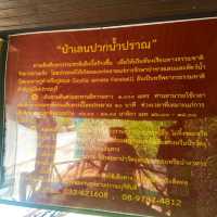 วนอุทยานปราณบุรี แหล่งเรียนรู้ป่าชายเลน