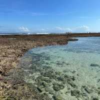Bali: a place of good food and beaches
