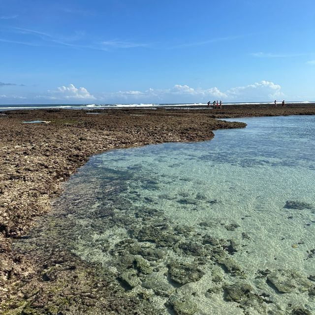 Bali: a place of good food and beaches  Bali: a place of good food and beaches