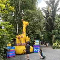 Singapore Zoo 