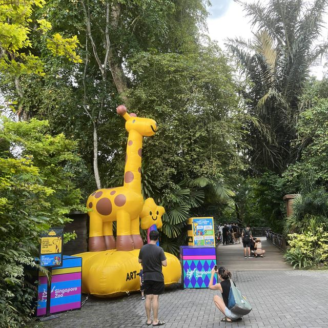 Singapore Zoo 