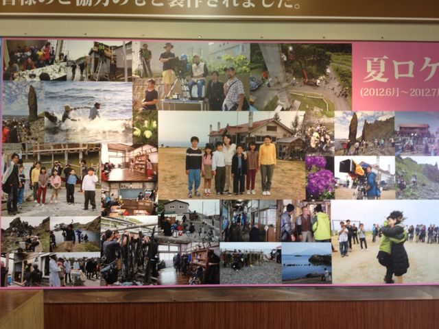 北海道　北海道観光　礼文島で絶対外せない観光スポット　北のカナリアパークに行ってきた！　