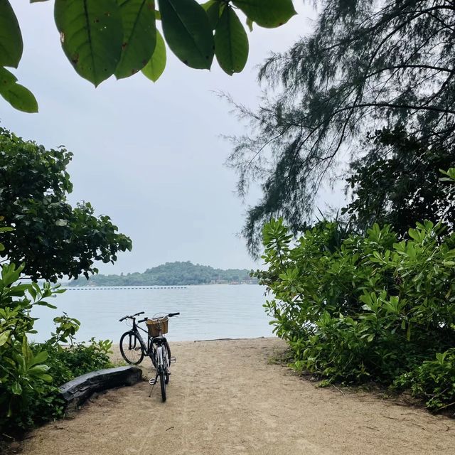 👍Coney Island帶你走進綠意盎然的天堂🇸🇬