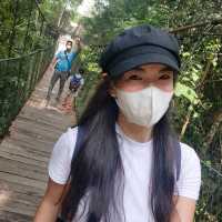 Kenyir Elephant Conservation Village