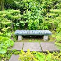 【東京】美しい庭園、毛利庭園