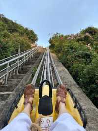 무동력 롤러코스터, 알파인 코스터🎢😳