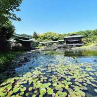 白鳥庭園