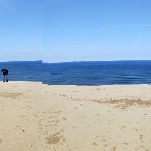 稱之為小沙漠🏜️鳥取沙丘