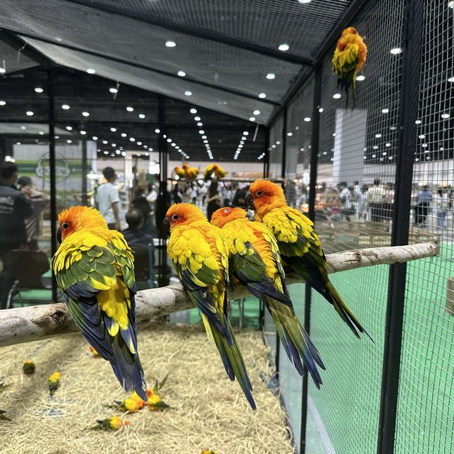 คนรักสัตว์ห้ามพลาดงาน pet expo 2023 🐕