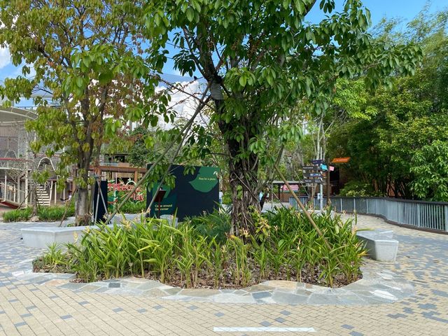 Egg Splash Café and Shop