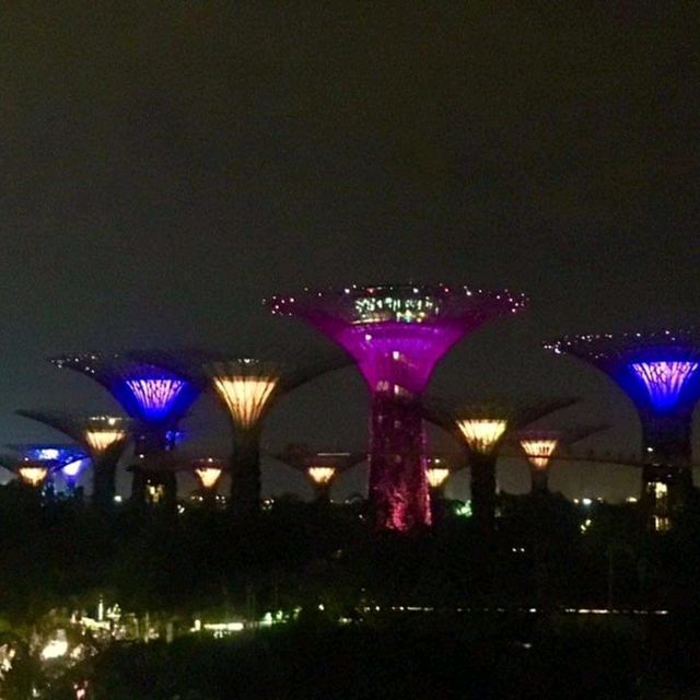 💟超級夢幻濱海花園💟