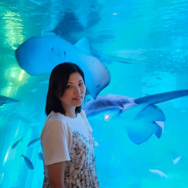  八景島Seaparadise🐬💦