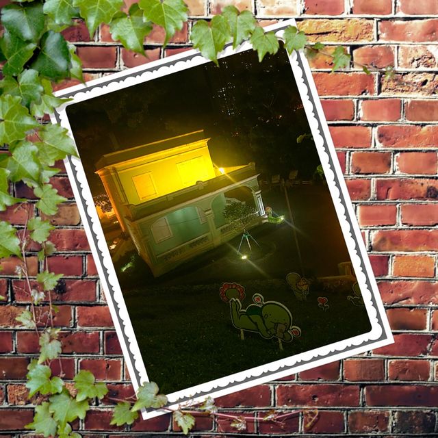 龍環葡韻🥰欣賞夜之美景