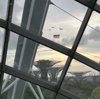 濱海灣雲霧林X阿凡達