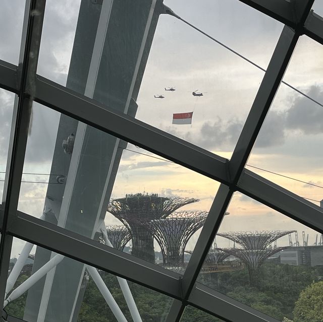 濱海灣雲霧林X阿凡達