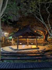 桃園 | 浪漫美麗的夜晚大溪老街