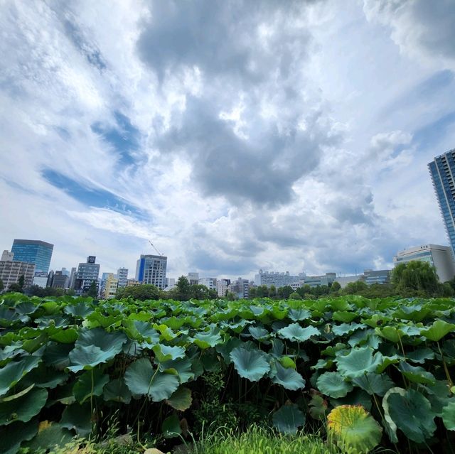 財源廣進 - 參拜上野不忍池弁天