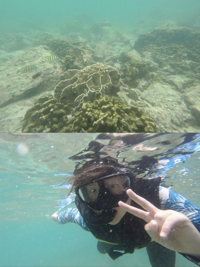 夏日必遊綠蛋島🩵💙｜親子出海活動🤿