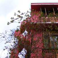 Nostalgia Vibrant Shophouse at Joo Chiat SG