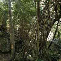 น้ำตกโกรกอีดก จังหวัดสระบุรี