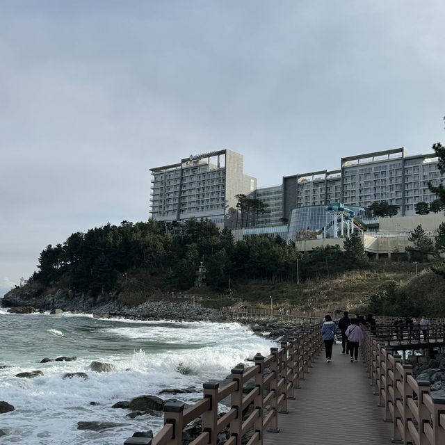 속초 나만 알고싶은 둘레길코스, 바다향기로