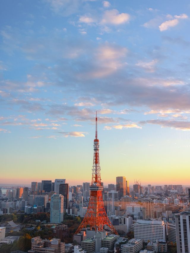 東京の冬、虎ノ門の高層階で楽しむ特別なクリスマスアフタヌーンティー
