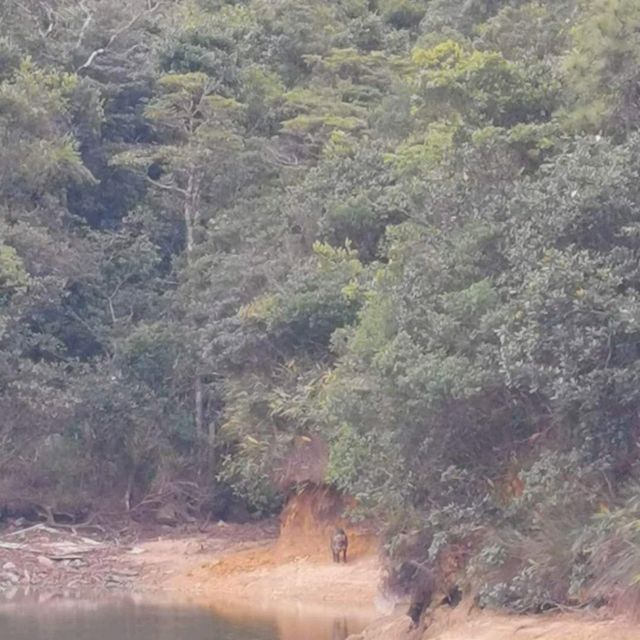 黃泥涌水塘公園+工人宿舍